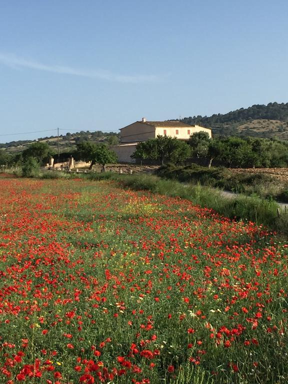 Holiday home Can Roqueta